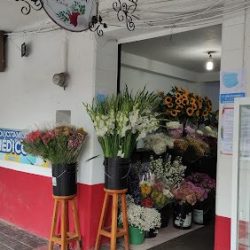 La Orquidea Florería Artesanal