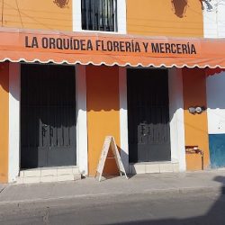 La Orquidea Floreria Y Merceria