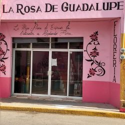 La Rosa De Guadalupe