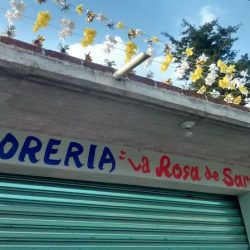 "la Rosa De Sarón"
