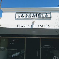 La Scatola Flores