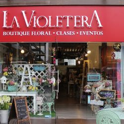 La Violetera Florería En Monterrey