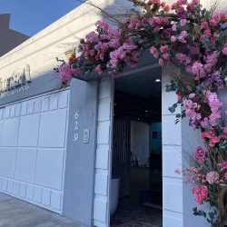 La Violetera Saltillo