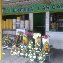 Las Carmelitas