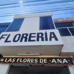 Las Flores De Ana