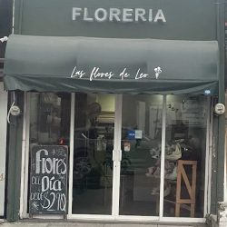 Las Flores De Leo