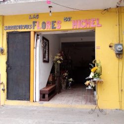 Las Flores De Michel