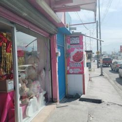 Las Flores Del Patron