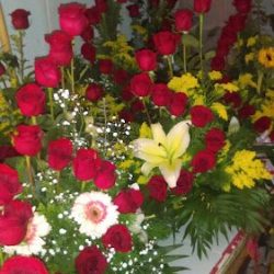 Las Margaritas Florería