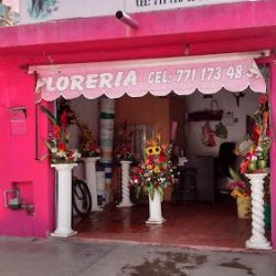 Lexsander Floreria