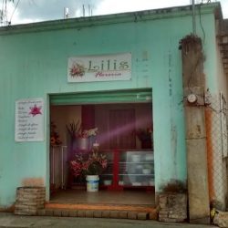 Lilis Florería