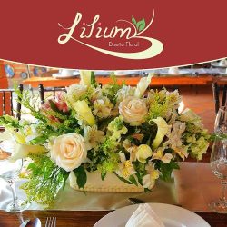Lilium