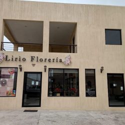 Lirio Florería
