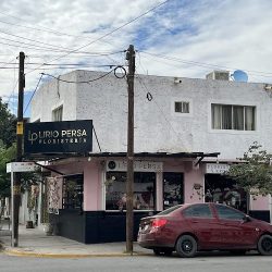 Lirio Persa Floristería