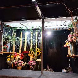 Lirios Y Rosas Texcoco