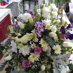 Lisianthus Floristas