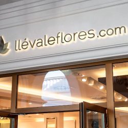 Llevaleflores.com