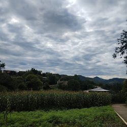 Lodo Grande, Municipio De Chilapa De Alvarez, Geurrero