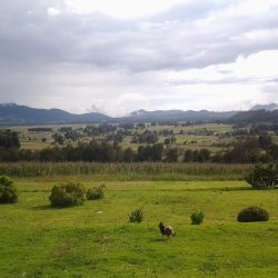 Loma De Juárez