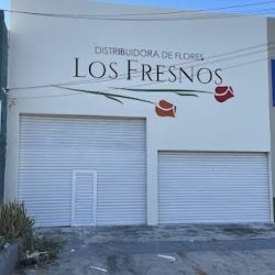 Los Fresnos Distribuidora De Flores Cancún