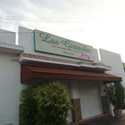 Los Girasoles