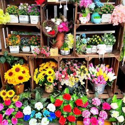 Los Girasoles, Flores Artificiales