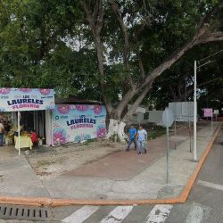 Los Laureles Floreria
