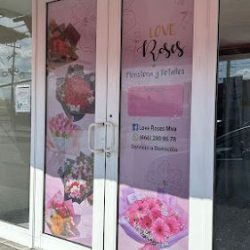 Love Roses Mva