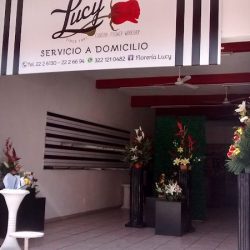 Lucy Artesanía Floral