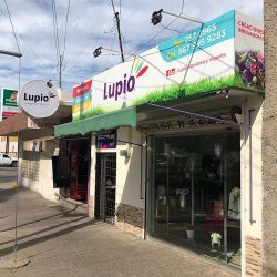 Lupio Floristeria Y Regalos