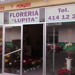 Lupita