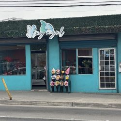 Luz Azul Floreria