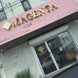 Magenta Floristeria
