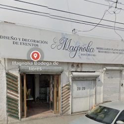 Magnolia Bodega De Flores