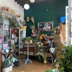 Magnolia Flores Y Café