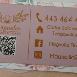 Magnolia Floristería