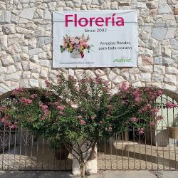 Maivet Floristería