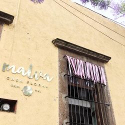 Malva Casa Floral
