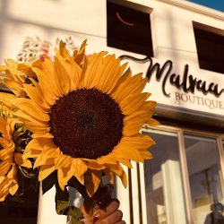 Malvaa