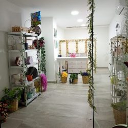Mandrágora Boutique Floral