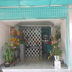 Maraga Floristería
