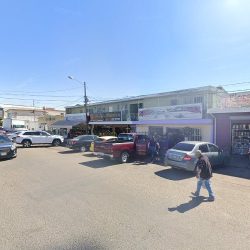 Margarita Florería Tijuana