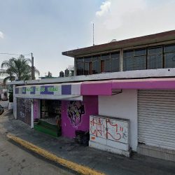 María Diseño Floral