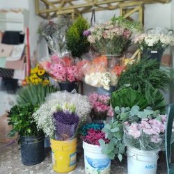 María Floristería