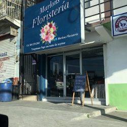Marlon Floristería