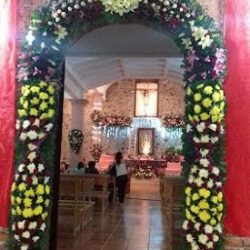 Más Que Flores