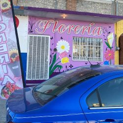 Mateo’s Floreria