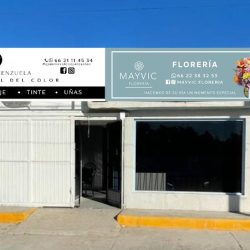 Mayvic Florería