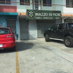 Mazzo Di Fiori