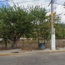 Mercado